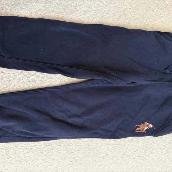 Polo Ralph Lauren Other - Polo by Ralph Lauren Blue Garment